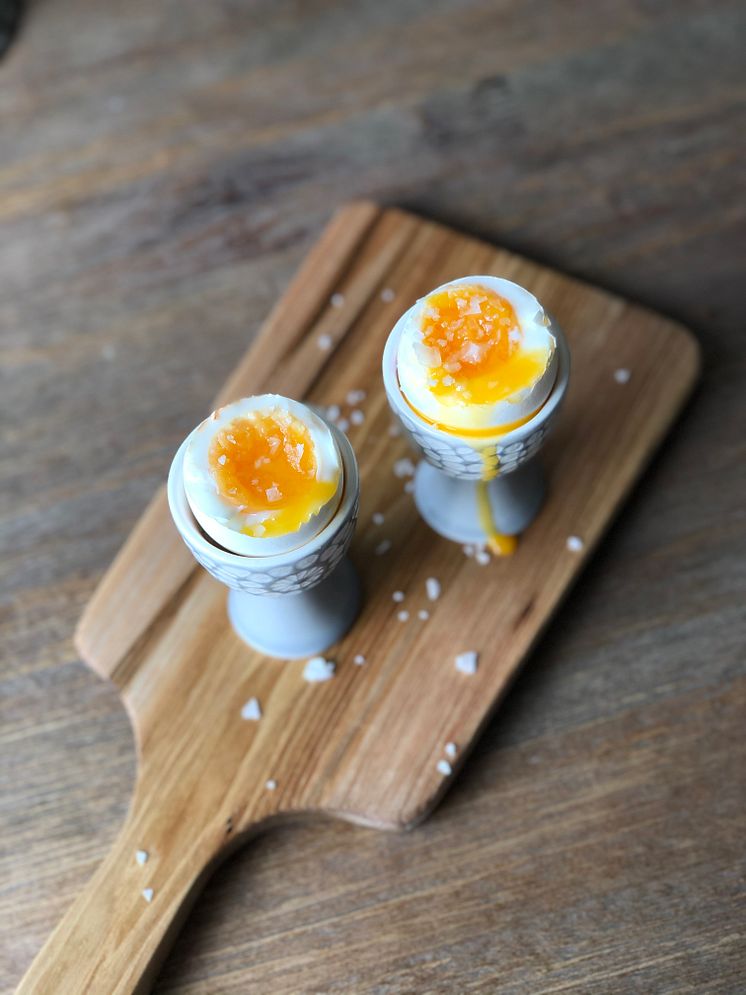 Kokt ägg