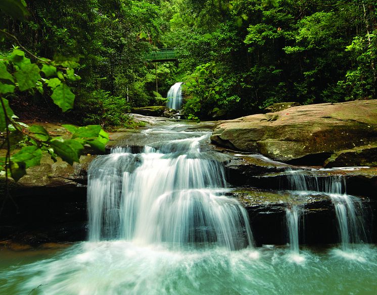 Kondalilla Falls i Queensland,  Australien 