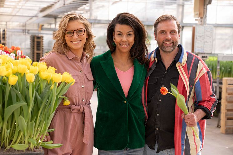 Amanda Alverbäck, Vivi Wallin & Johan Munter