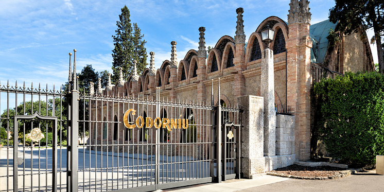 Codorniu MyNewsdesk (1).png