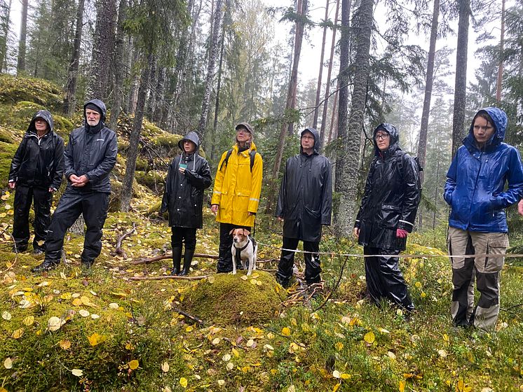 Skogsvandring2.jpg