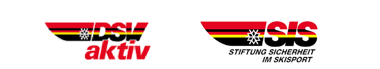 DSV_SiS_Logo