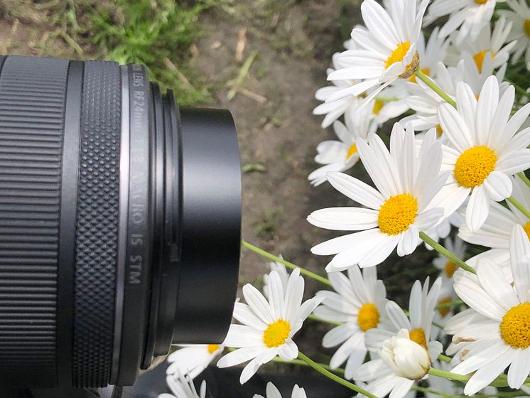 Canon RF24mm_Minimum_Focus_Distance_Shooting_scene2_CINC_Comparison