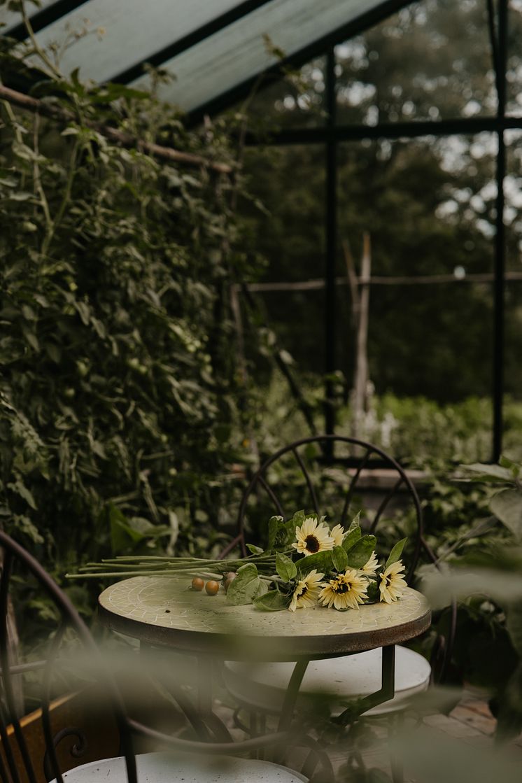 Helios Unik hos Johanna på Prästgården