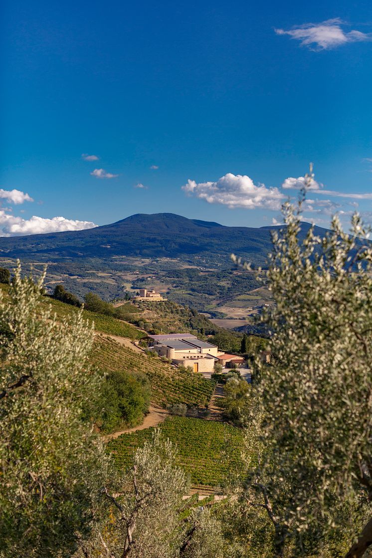 Poggio di Sotto