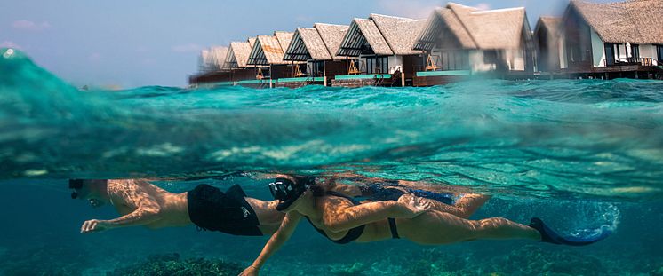 Snorkling korallrev