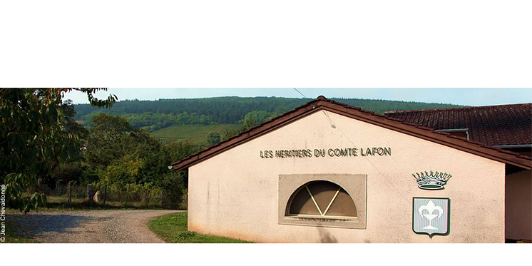 les-heritiers-du-comte-lafon-2.png