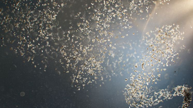 Sand_001.jpg