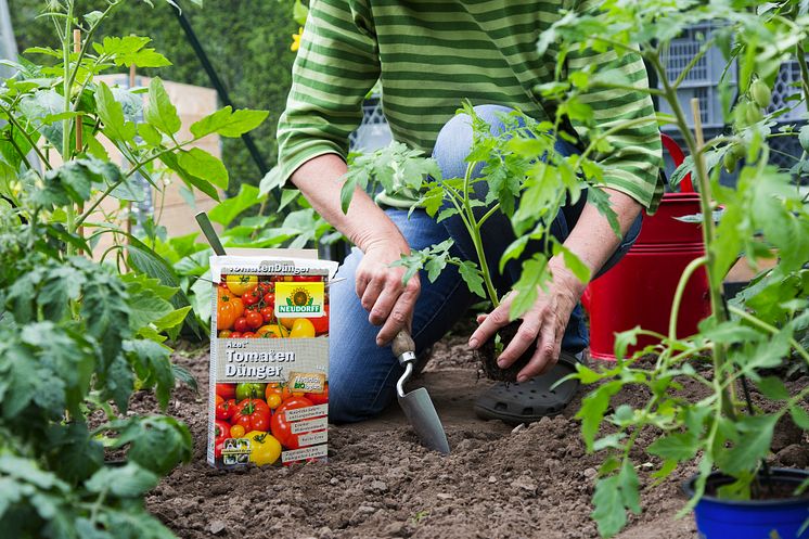 Neudorff Azet TomatenDünger_25-01.jpg