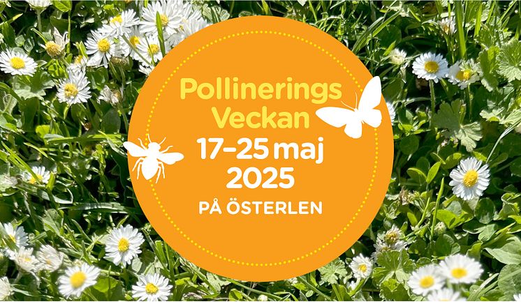 pollineringsveckan Österlen vit.jpg