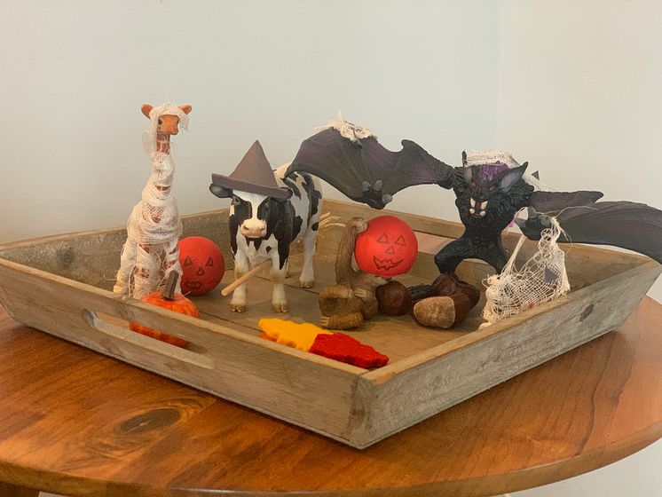 Deko_Schale_Schleich