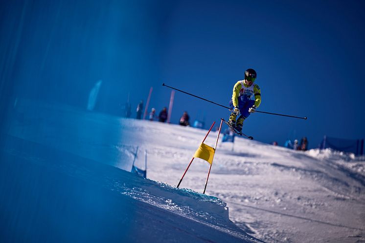 OLLE TRILLEVALLEN_TELEMARKWC25_SPRINT1_@FISTELEMARK_ 189_LOWRES.jpg