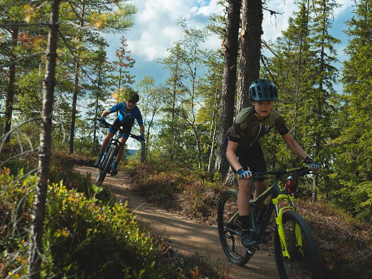 Trailcykling sommar