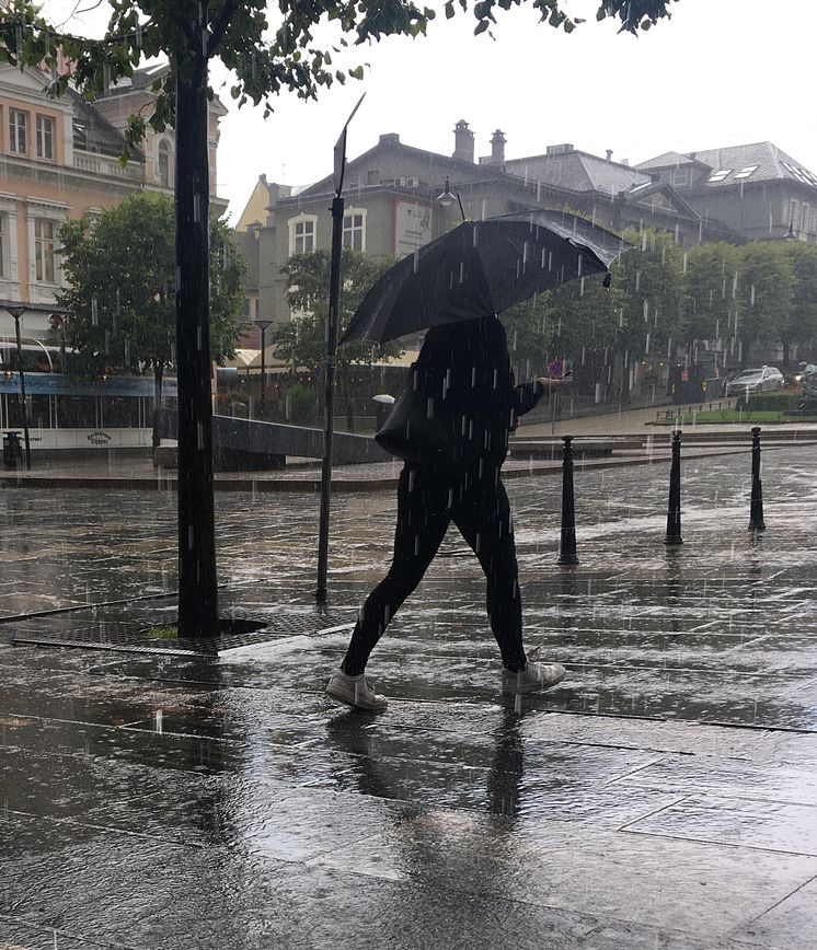 Styrtregn_Foto Gjensidige.jpg