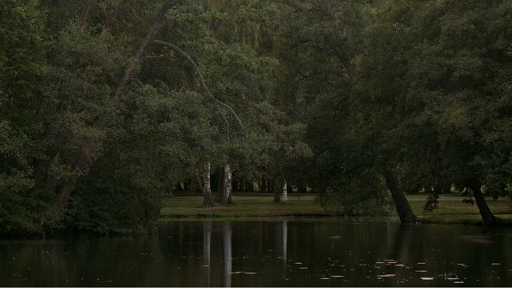 Lars Nilsson: Park II (2011)