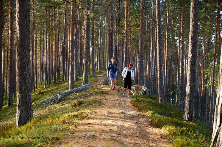 Isälvsleden - 14x21 med fotograf.jpg