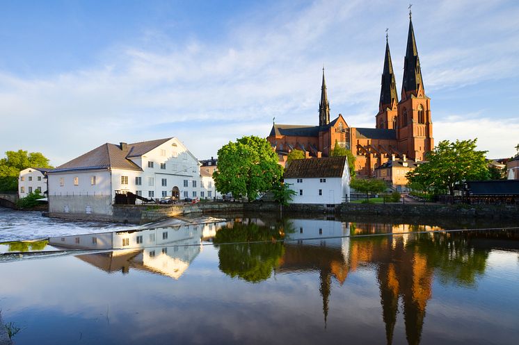 iStock-165918071.jpg