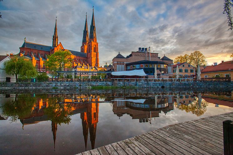iStock-1158445440.jpg