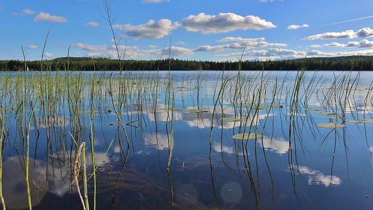 Otjänligt vatten, foto Maria Groth-Mostphotos.jpg