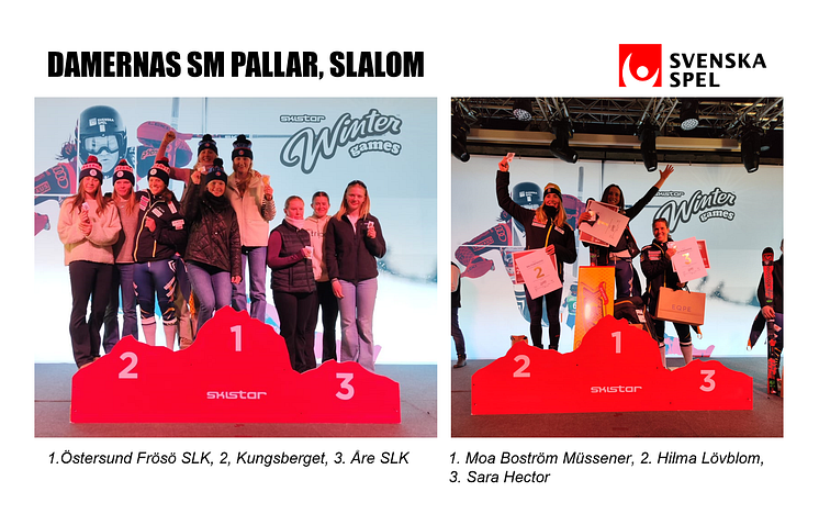 Damer Slalom pall.png