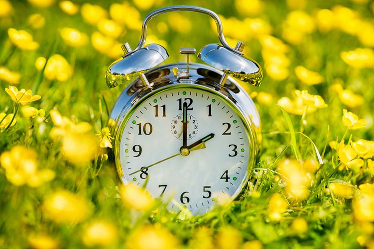 Spring forward.jpg