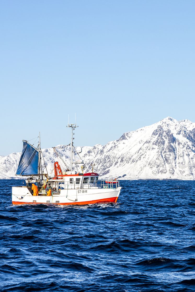 day_1_fishing_Hanningsvær-8629.jpg