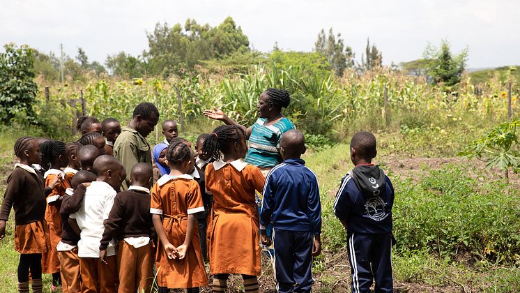 Schulgarten in Mbagathi Kenia_Kartoffelernte_Lin Bautze.jpg