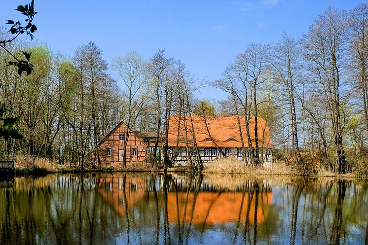 Mühlentag Eröffnung an der Obermühle Bad Düben 