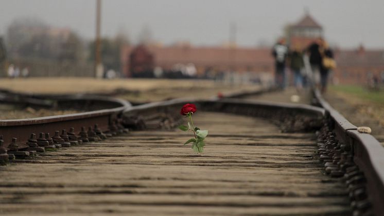 Auschwitz-Birkenau, Albert Laurence.jpg