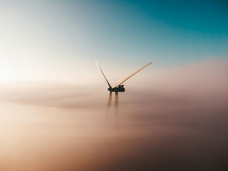 sander-weeteling-iGDg_f_mlWo-unsplash.jpg