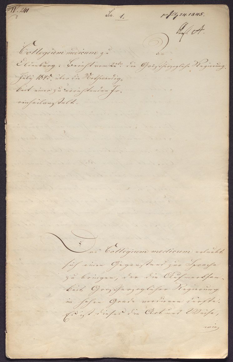 "Bericht vom 22. Juli 1845 über die Notwendigkeit einer zu errichtenden Irrenheilanstalt"