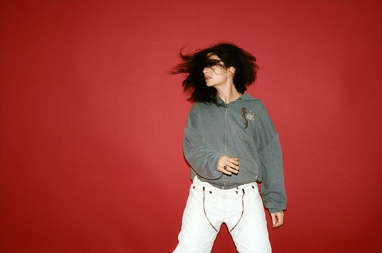 Lorde - Press shot 2, Thistle Brown (1) (1).jpg