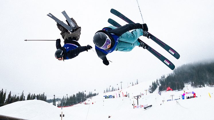 SM-24-The-Flip-Foto-Daniel-Bernstål.jpg