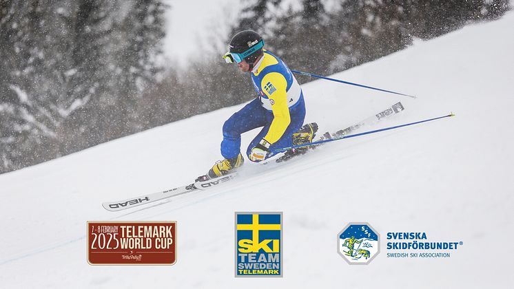 Olle-Collberg-loggor-foto-@fistelemark.jpg
