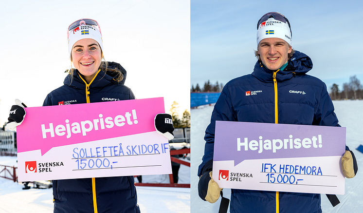 Hejapris Falun 250218.png
