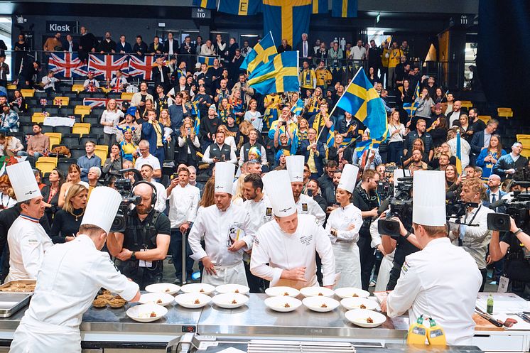 Bocusedor_Trondheim24_BERRE_HB_346.jpg
