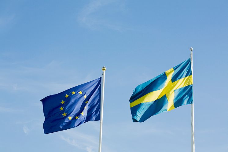 Eu_Swe_flag.jpg
