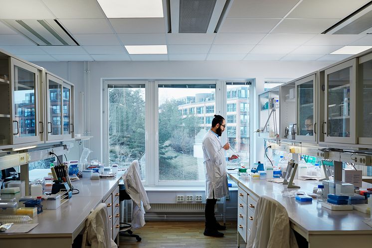 Bild från Johnér bildbyrå