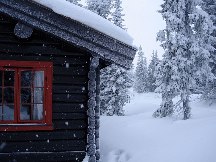 Cabin iStock-499548708.jpg