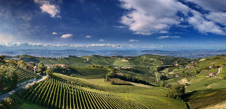 produttori-barbaresco-HD-1.jpg