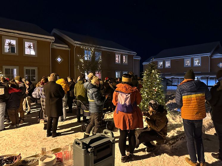 Julegrantenning_Mortensnes_2023.webp