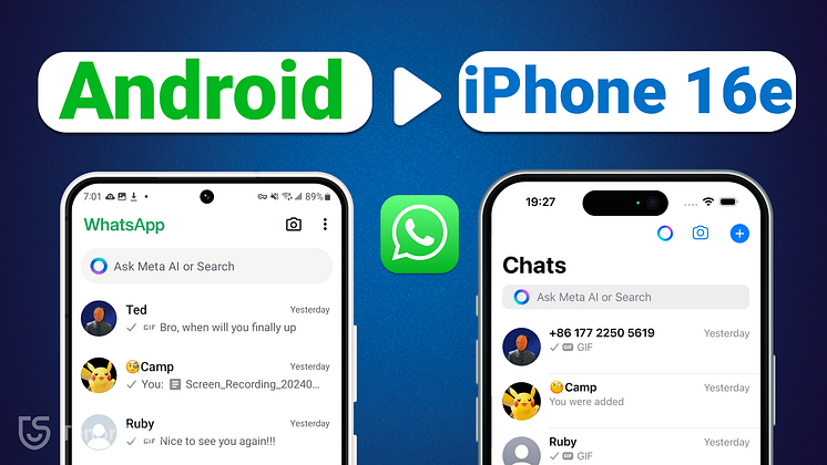 1224  Transfer whatsapp.png