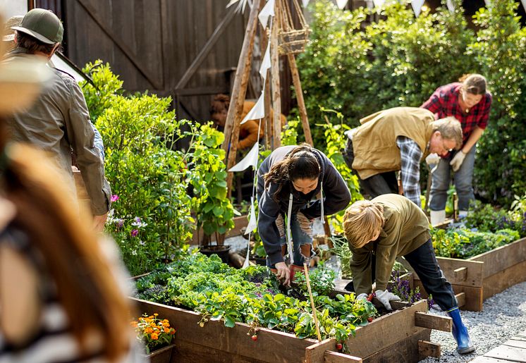 Odla i gemenskap - Foto: iStock_rawpixel