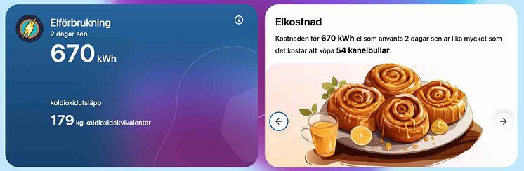 Plattformen Antiloop elförbrukning bred.jpg