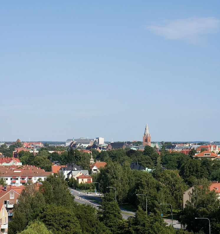 _C0J6649.jpg
