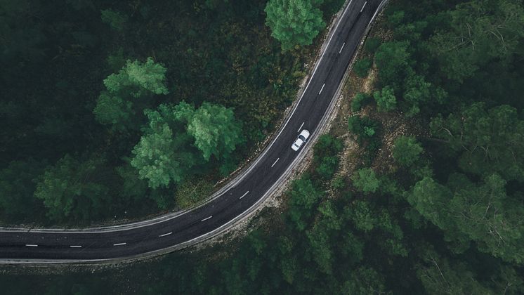 Car_in_forest.jpg