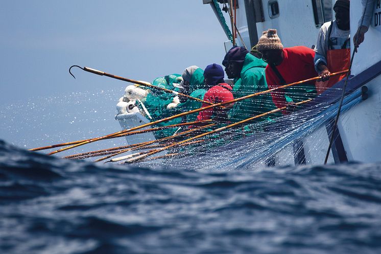 MSC21458_MSC20833_1MB_DIGI_South-Africa-albacore-pole-and-line-fishing_2-(credit-Steve-Benjamin).jpg