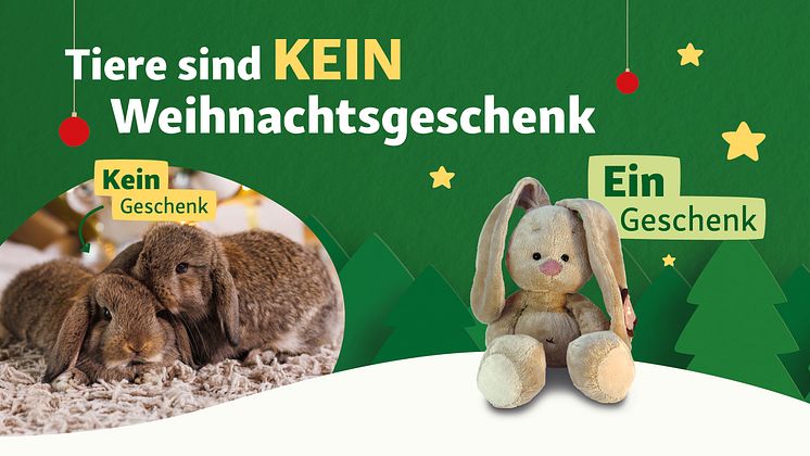 1280x720_FN_LT_Hinweis_kein_Tierverkauf_2024.jpg