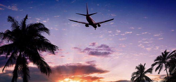 Airplane at sunset palmtree iStock_000012772817_Medium.jpg