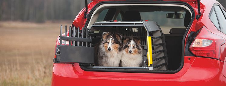 3G variocage compact single_xl_autumn_dogs car_21X10cm_print.jpg